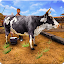 Kuhfarm-Fabriksimulator: Milchviehfarm