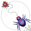 Lucas The Spider