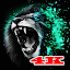 Lion Wallpaper Aesthetic 2024
