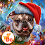 Christmas Spirit: Ticket