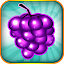 Fruit Blitz