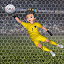Pro Kick Soccer