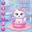 Kitty Kate Groom and Care