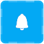 Radio Alarm Clock - PocketBell