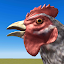Cluck Shot