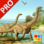 Dinosaurs Cards Games PRO