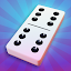 Dominoes - Offline Domino Game