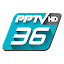 PPTVHD36