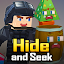 Hide and Seek