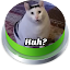 Huh Cat Sound Effect Button