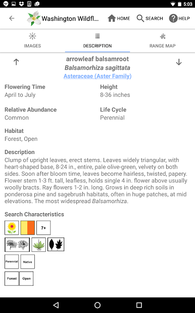 https://cdn-icon.bluestacks.com/dBn2oTzKDfYGxMPJLrw3GtKGqBM2aZwF7dQAO-NhjD5urM5hAD6php4DuJqY5GmFPOkRikbm2sx4iQ7ZEVcj5A