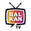 Balkan TV