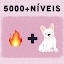 Adivinhar Palavras: o que é