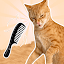 Brush The Cat