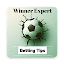 Winner Expert - Football Betting Tips