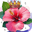 Fun Color：Coloring Games & Happy Color by Number