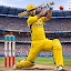 Indian Cricket Game 26