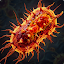 Bacteria: Types, Infections