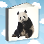 Picture Book For Toddlers Free