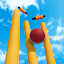 Cricket World - Cricket Game