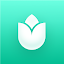 PlantIn: Riconoscere le Piante