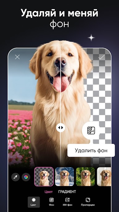 https://cdn-icon.bluestacks.com/hhjRJQ9HNQgli1Qpzpv8hY9QDTINxNbq-0koj23BQuopSmW78kyZsVIs6U5B-fKtC3ZoFfhM_Em-EAZ5fcGe