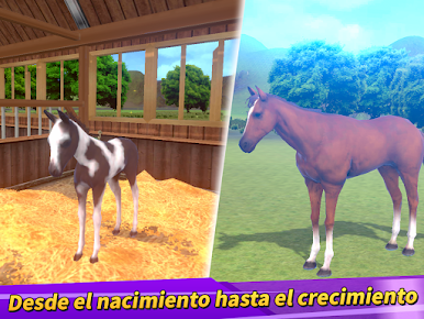 https://cdn-icon.bluestacks.com/hkCCcukJgWafWxj2jCYSOGF03GxU_a2a0EqpJa_0ynIPM-v6_QlwkzIfNk0ityFveLrUfg8Ev6vA-0Pmc-az