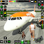 Airplane Flight Simulator 2024