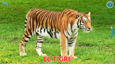 https://cdn-icon.bluestacks.com/iO3qcFZN-h-3t_IWZnvjlZGFi8-Slg1gThU9_4h0ej3qviL75_El5KO8XVHr2Y3wJWCAlq-3j7rQwRIUCMstkA