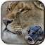 Hidden Animals: Photo Hunt - Seek and Find Games