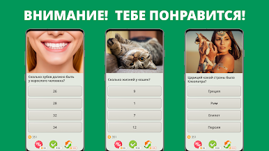 https://cdn-icon.bluestacks.com/ioLZD-3C1zOkBNm6sBVCtNvfq4HXpzuOLOCGVQB6ffCCb9E6O58ohtWeIBznA0vJc8nrKQsAMk868ls9ef3C2aw