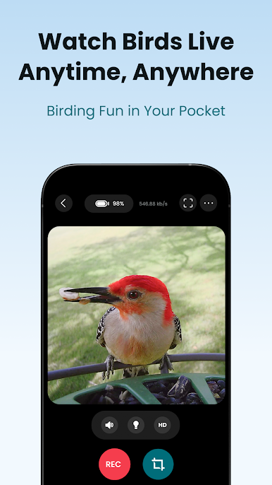https://cdn-icon.bluestacks.com/j44lz6jekZ_KOClNbz52tRr7iuCnN4kNTXwVjjinTSVDwL0a_SaFJxjrP5ITlHLDV2cAIDSTWZh6HuC4p71aGA