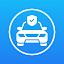 Vehicle Motion Cues