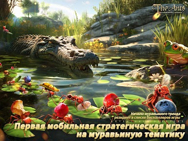 https://cdn-icon.bluestacks.com/kAkJHjBf5cKY51W7AhCFJg8ZwQDMFgYirjNeZCnvmDLiwMozCUSQt7zs_LNYFHeqGv_P