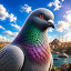 Pigeon Paradise