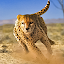 Savanna Simulator: Wild Animal Games