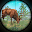 Animal Hunter Shooting Games