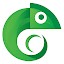 ENA