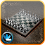 World Chess Championship