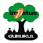 Impetus Gurukul Online Tutorials
