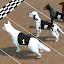 Dog Racing