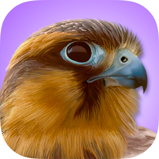 iBird Pro Birds North America