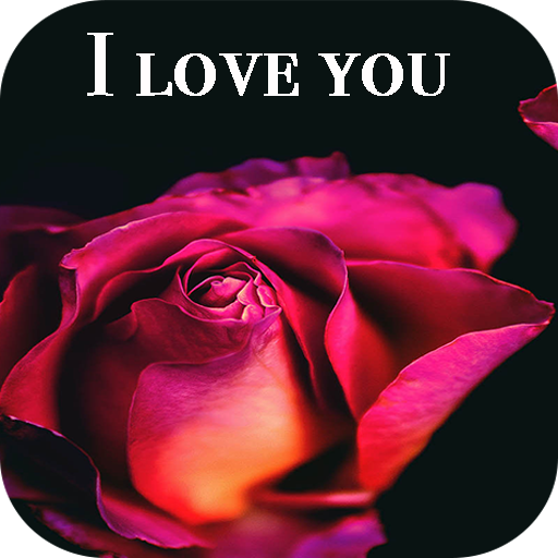 Flowers and Roses image GIFs, I love you photos 4K