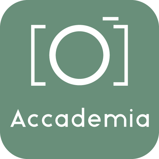 Accademia Gallery Visit, Tours