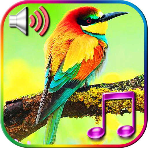 Birds Sound Ringtones