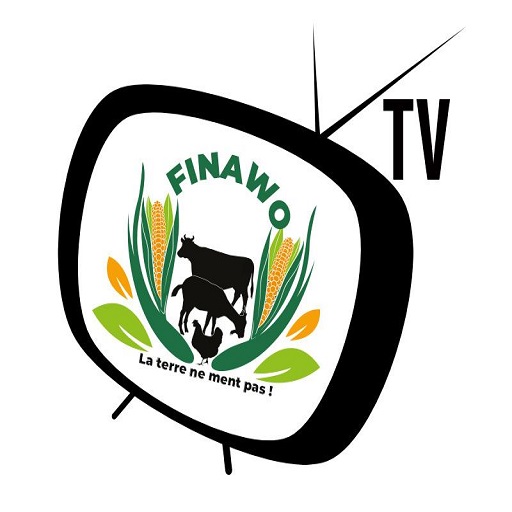 Finawo TV