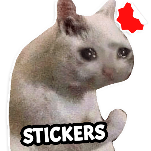 Cat Memes Stickers WASticker