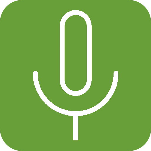 Background voice recorder