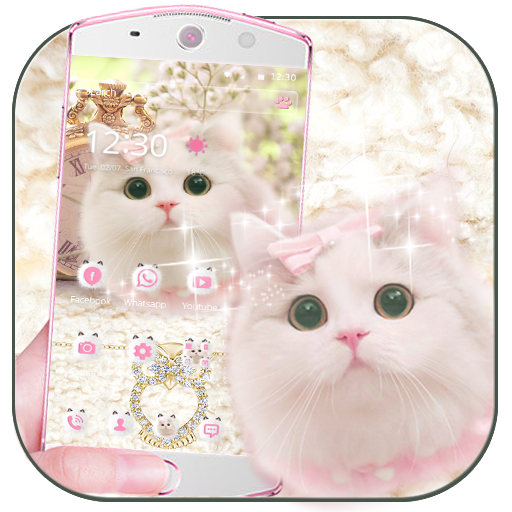 Cute pink kitty Theme