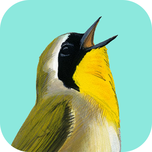 Song Sleuth Bird Song Analyzer